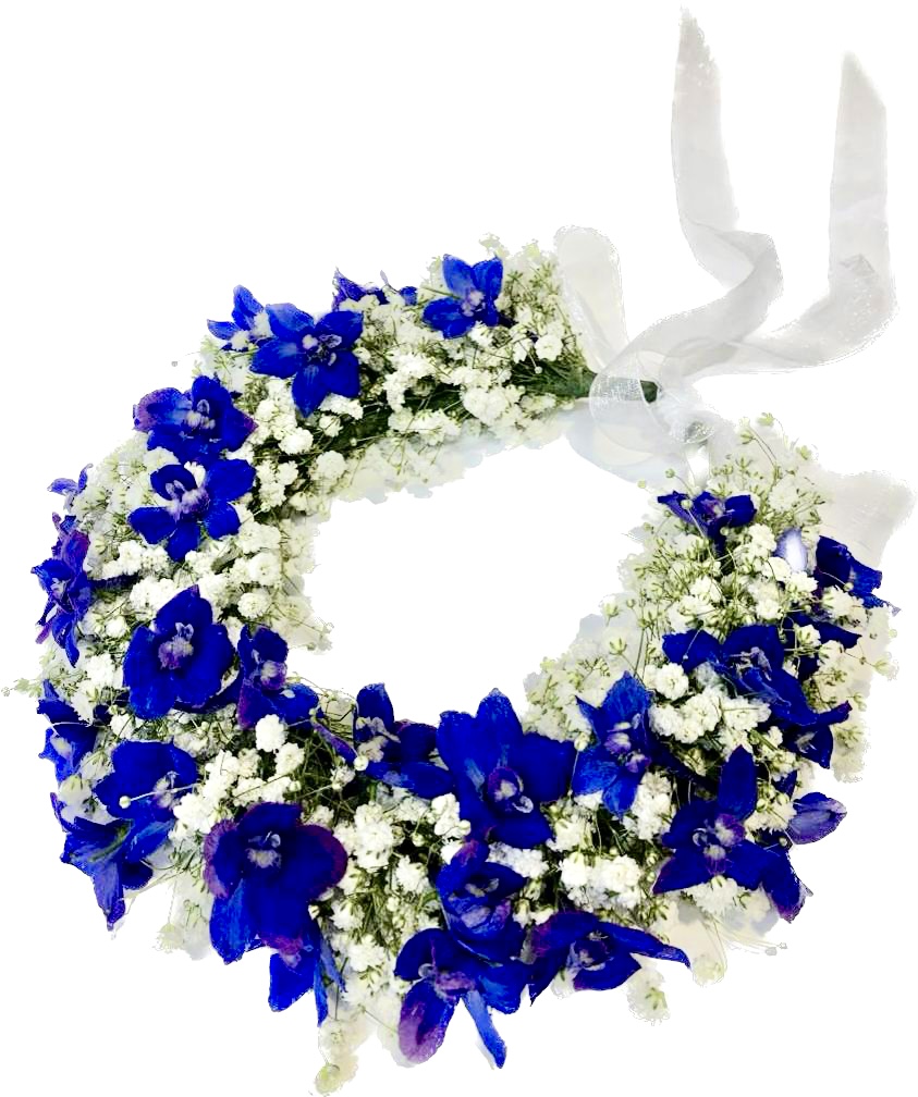 זר לראש גיבסנית ואיריס